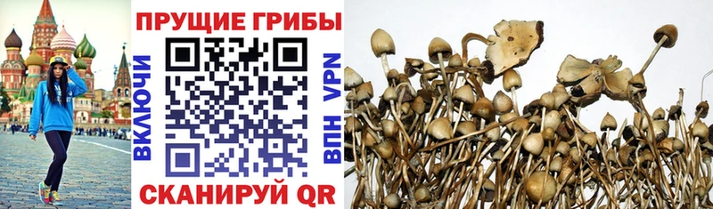 Галлюциногенные грибы мицелий  хочу   Янаул 