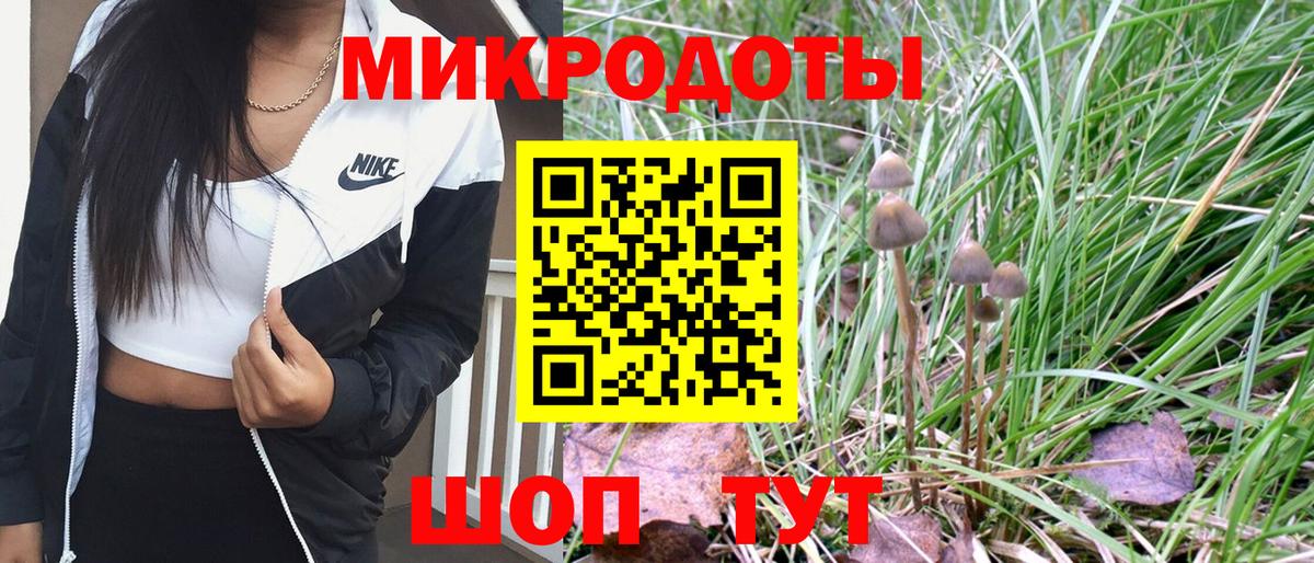 Псилоцибиновые грибы ЛСД  Псилоцибиновые грибы MAGIC MUSHROOMS  Янаул  Вход с VPN 